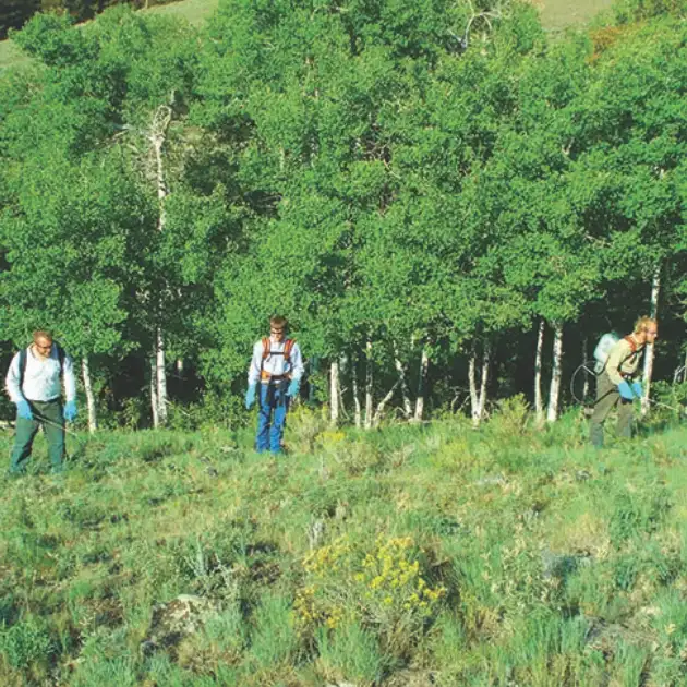 Woodland Resource Services Applicators