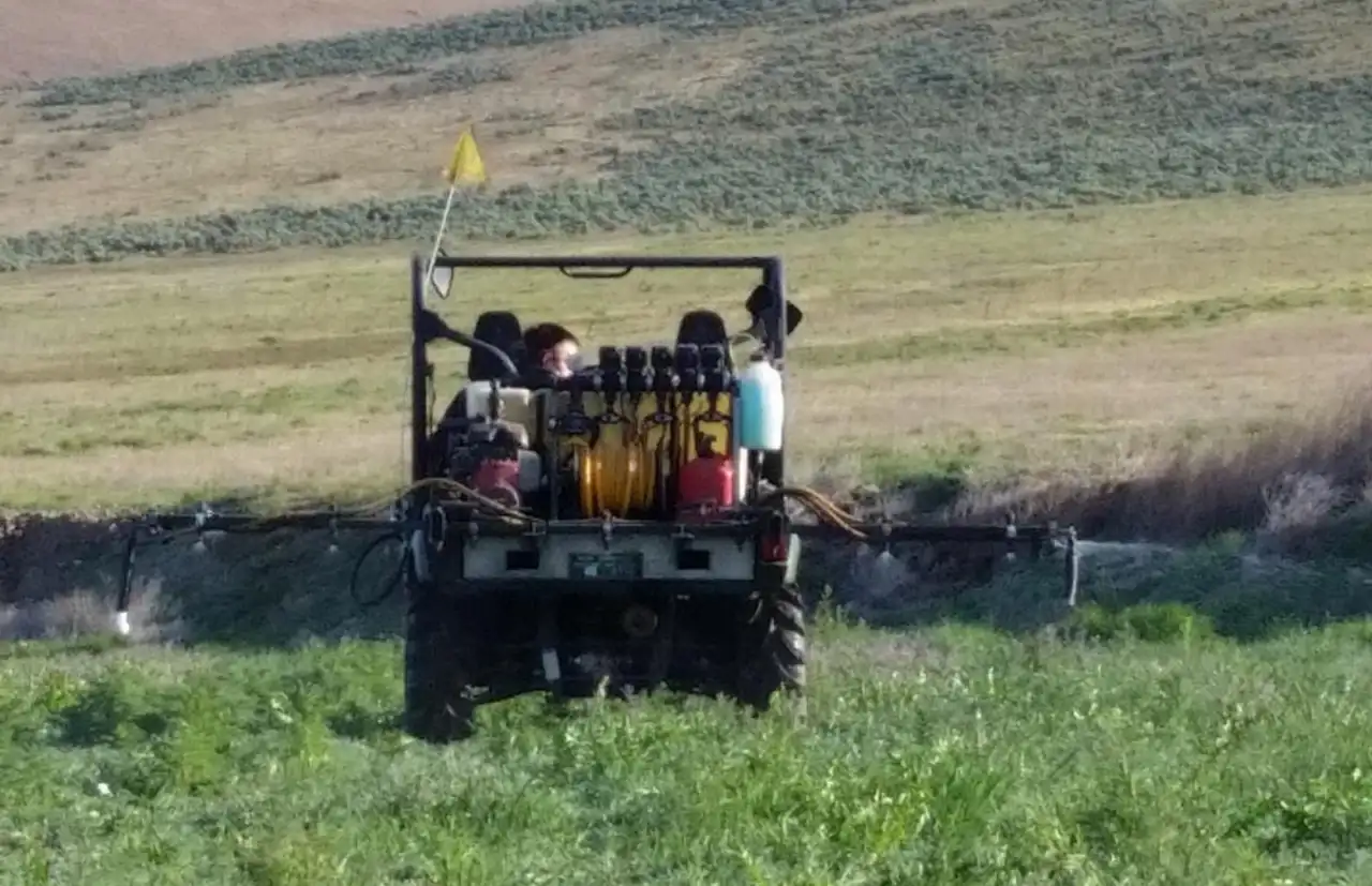 Pasture Weed Control