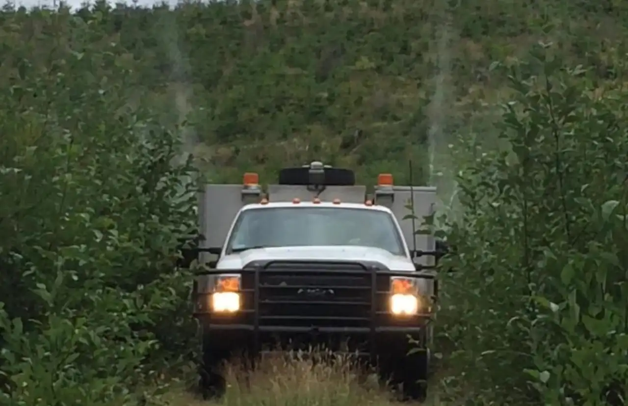 Forestry Services