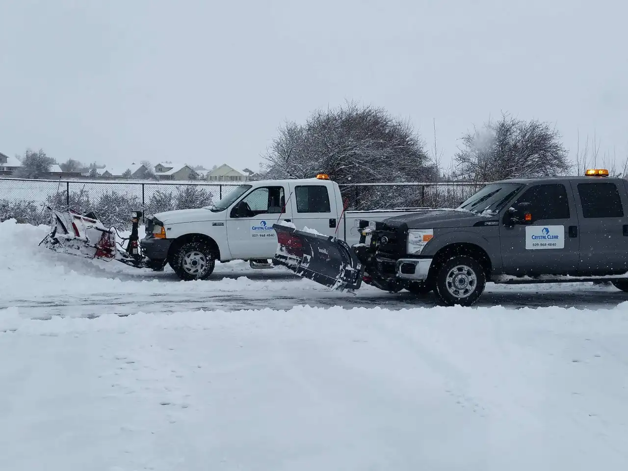 Two Crystal Clear pickups with snow plows in a snow-covered lot