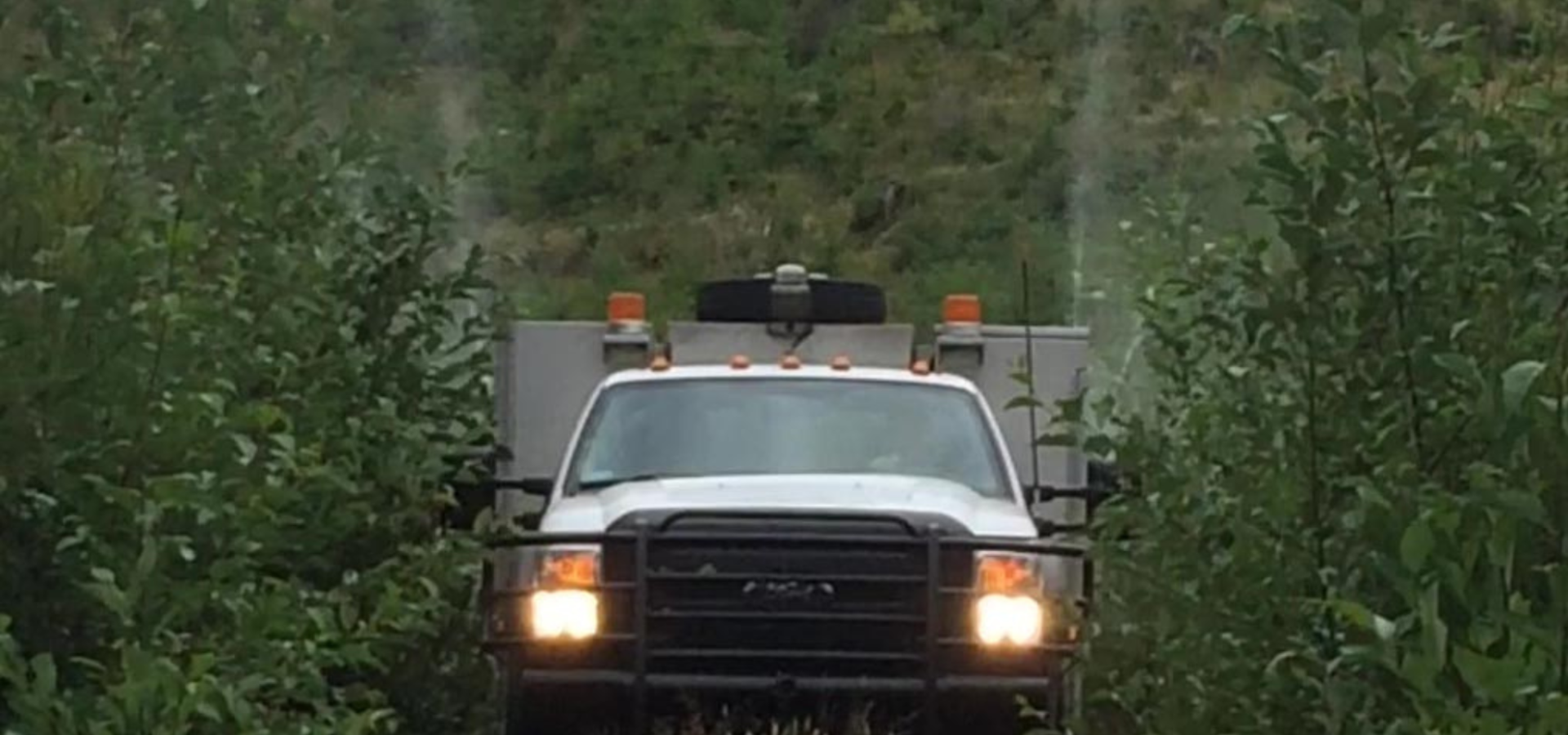 Forestry 1920×1080 Forestry Services