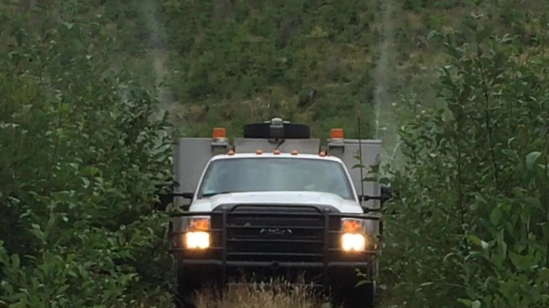 Forestry 1920×1080 Forestry Services